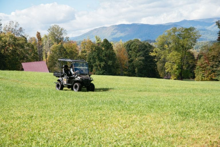 Golf cart windshields