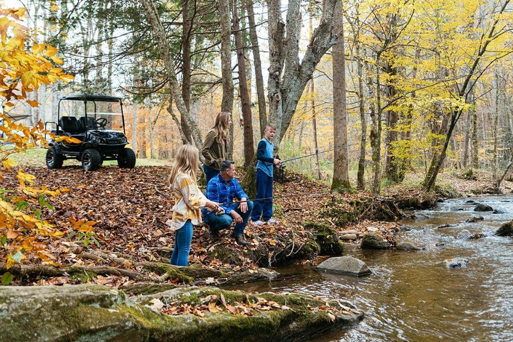 How to choose golf cart features?