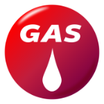 Electric And Gas Golf Cart Badge Comparison