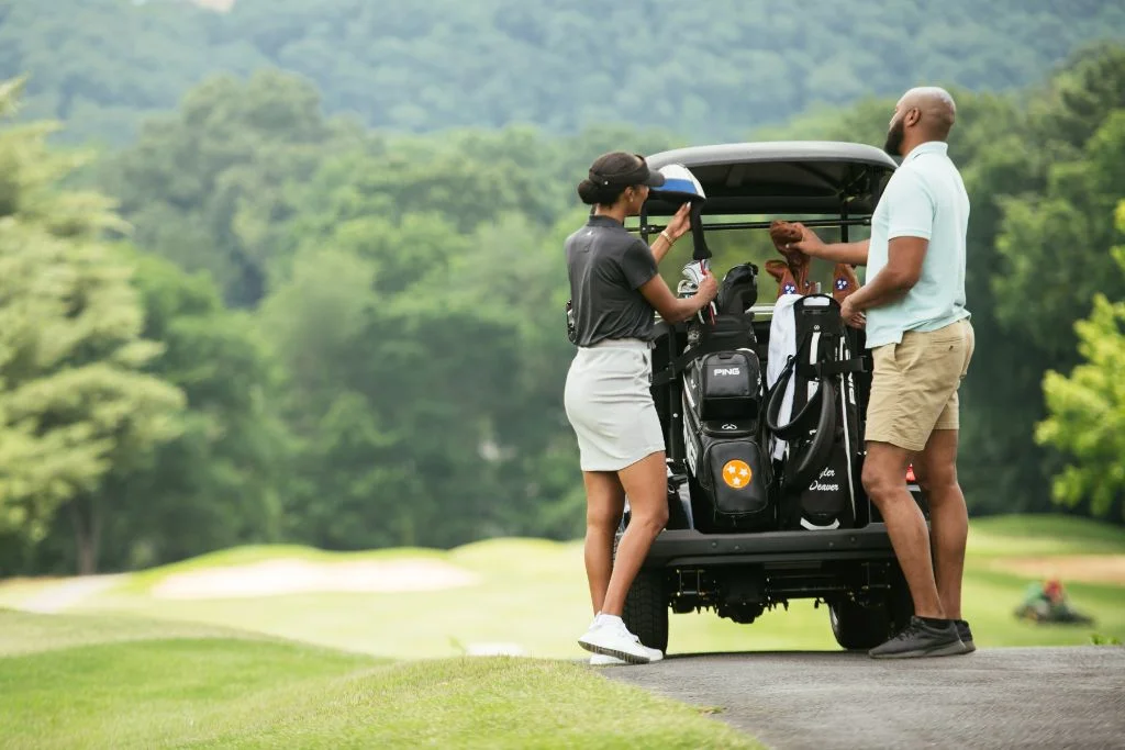 Electric golf cart motor types
